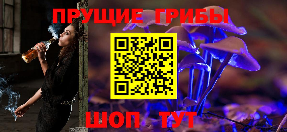 Галлюциногенные грибы мухоморы Артёмовский