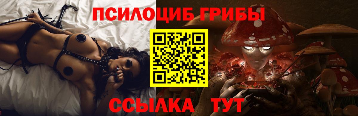 Псилоцибиновые грибы GOLDEN TEACHER  Вход с VPN  Артёмовский 